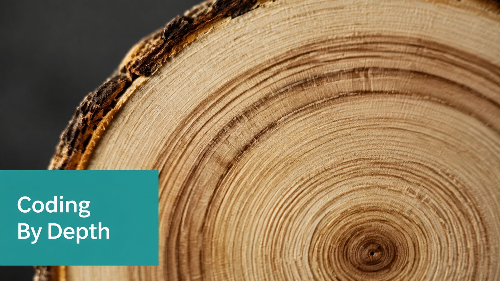 A close-up view of a tree trunk showing detailed annual growth rings with a text box overlay.