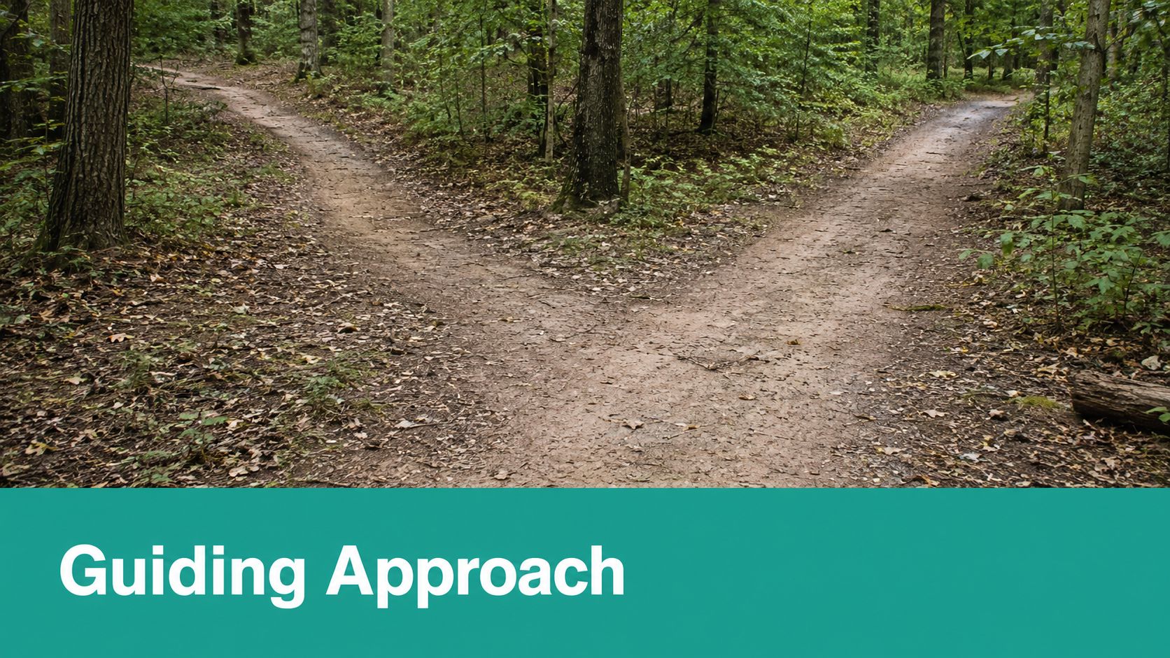 A dirt path in a lush green forest splitting into two different directions at a junction.