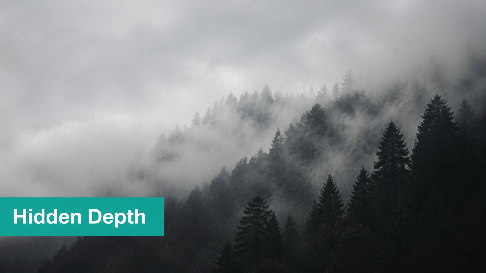 A misty, fog-covered mountain forest with tall coniferous trees disappearing into a gray, atmospheric landscape.