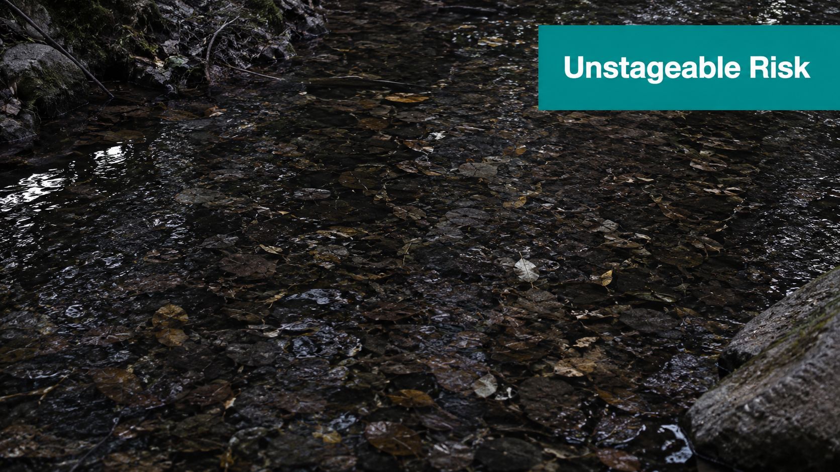 A shallow forest stream filled with fallen brown leaves flowing over dark rocky ground near rocks.
